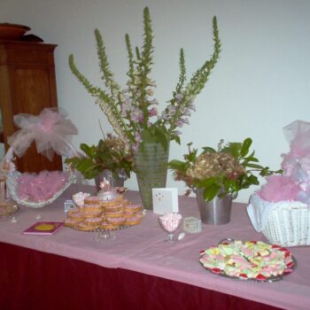 Kraamfeest tafel verzorgt roze decoratief